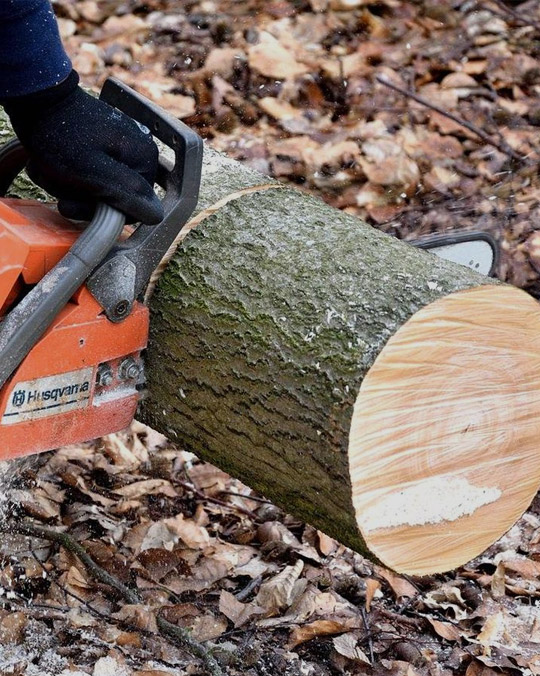 Schneiden Sie gefrorenes Holz in der Region Chabarowsk